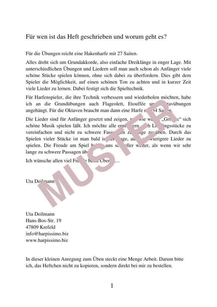 Musterseite 3 von Üben im Flow – Erste Schritte