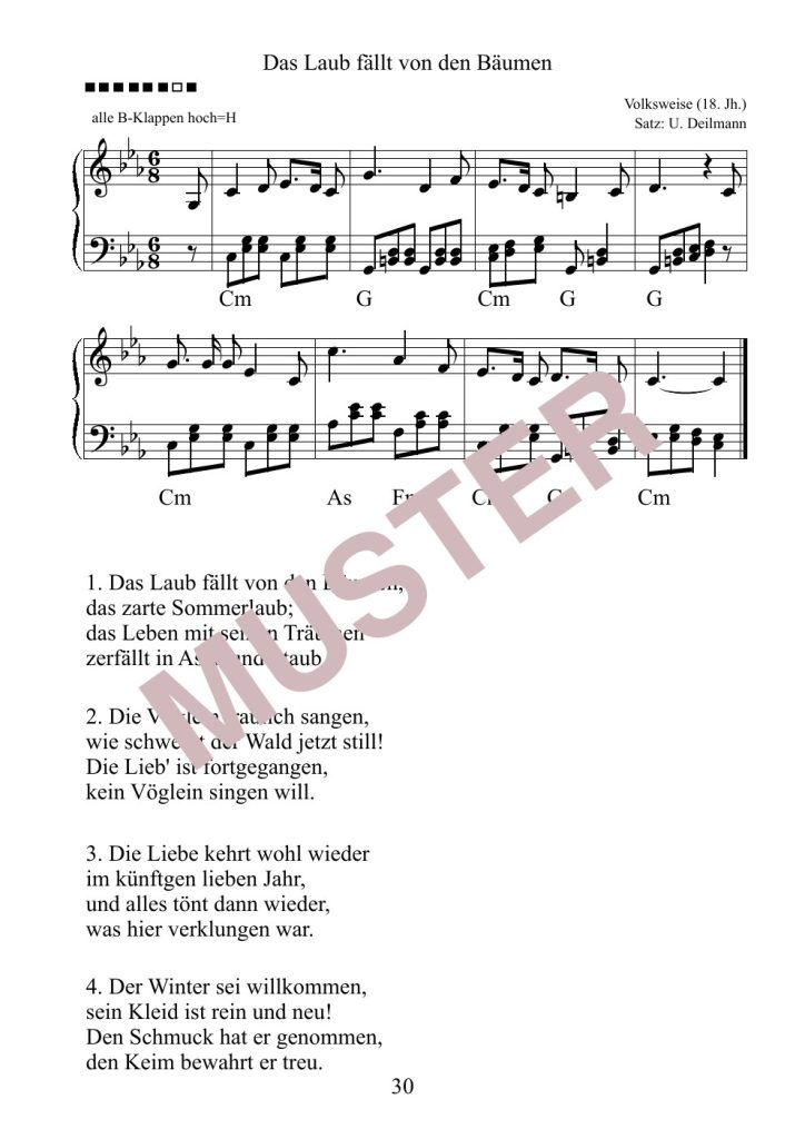 Musterseite 14 von Das neue Notenheft „Liederbuch“