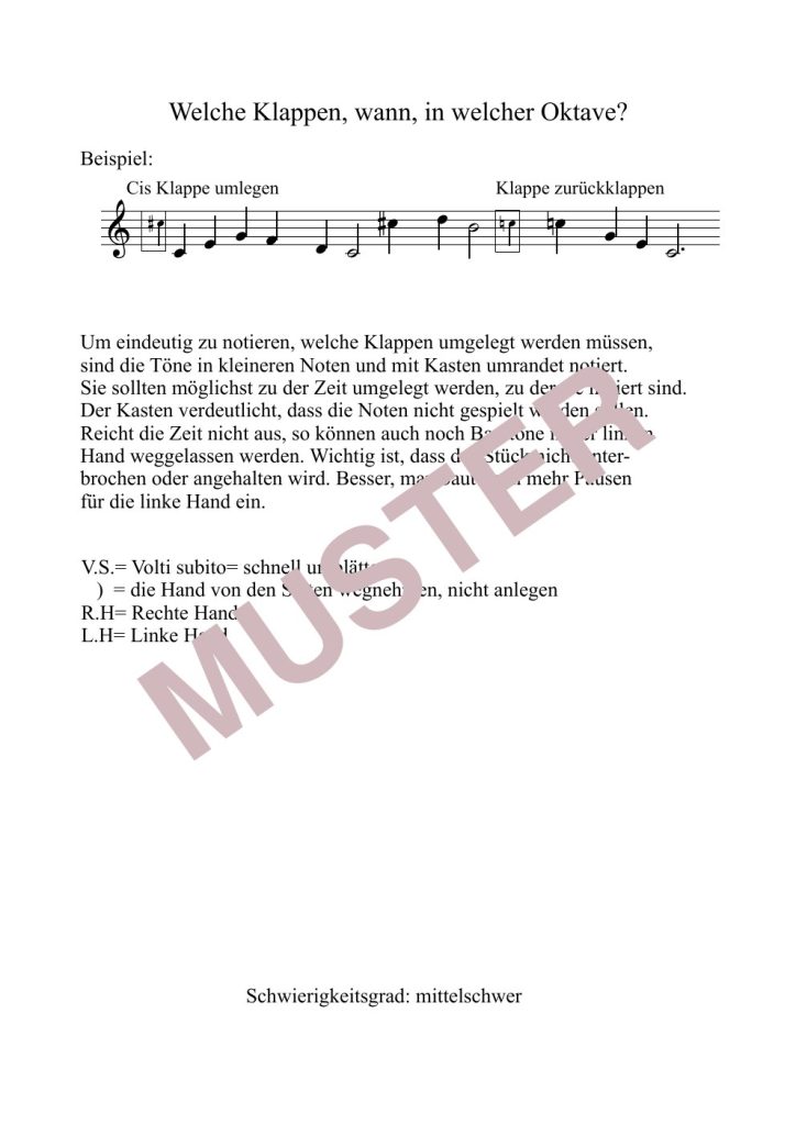 Musterseite 2 von Dvořák: Humoreske – Hakenharfe